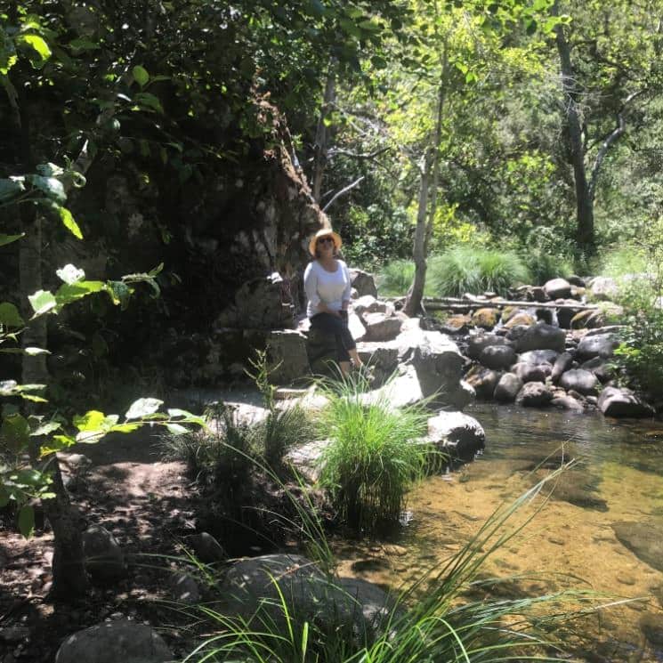 Woman sitting on large rock next to small stream surrounded by lush vegetation and rocks